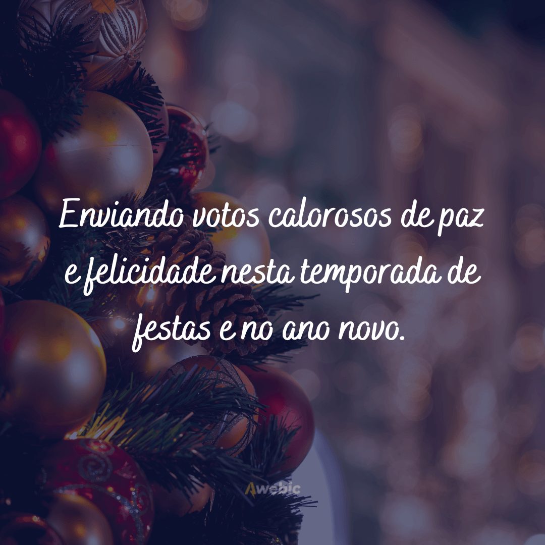 Que seus dias sejam alegres e brilhantes nesta época de Natal e durante todo o ano novo.