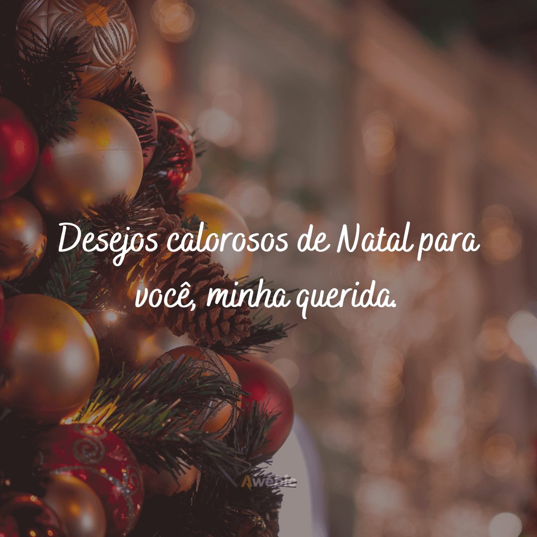 Frases de Feliz Natal com Jesus