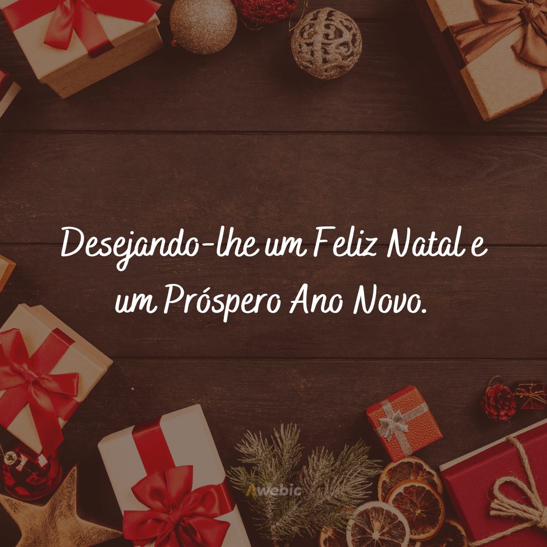 Que seus dias sejam alegres e brilhantes nesta época de Natal e durante todo o ano novo.