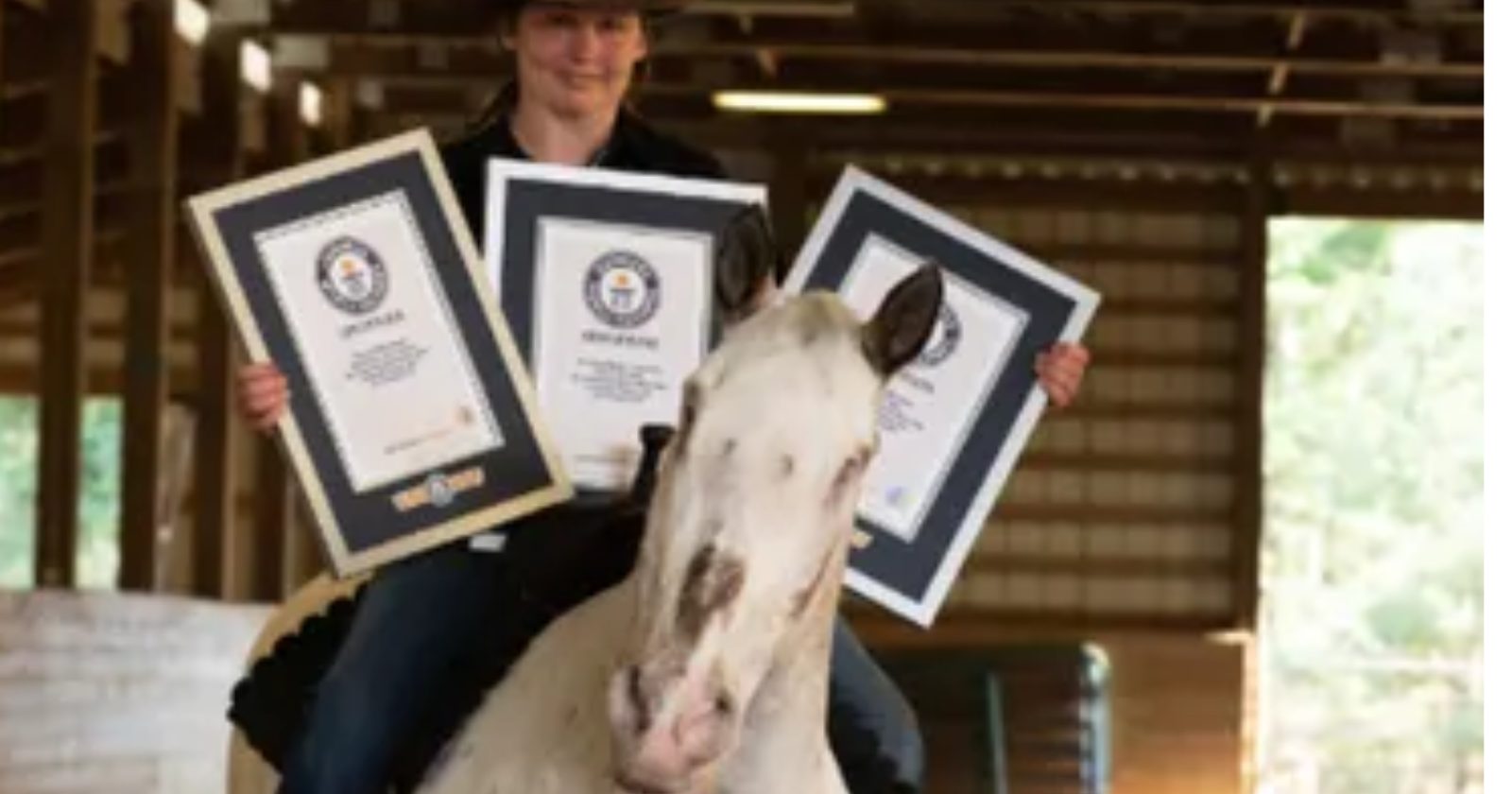 Tá no Guinness! Cavalo cego supera barreiras e quebra três recordes mundiais