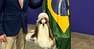 Brasil campeão: cadelinha brasileira ganha o título de Melhor Cão do Mundo