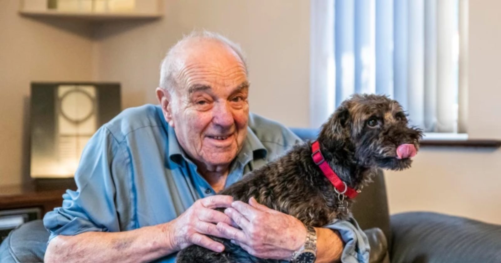 Cão salva idoso de 94 anos que sofreu acidente: ‘Devo minha vida a esse cachorro’