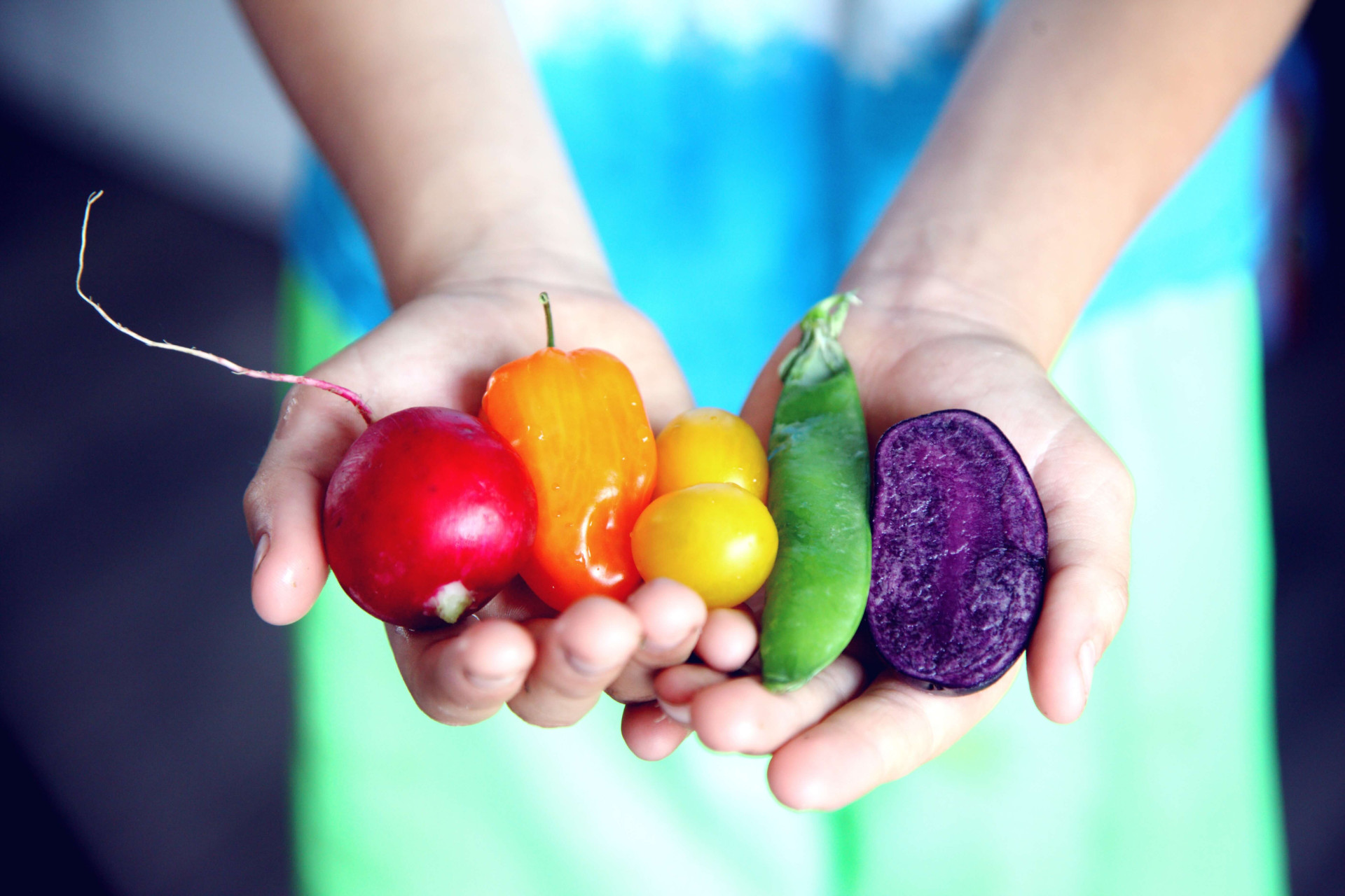 alimentos sujos