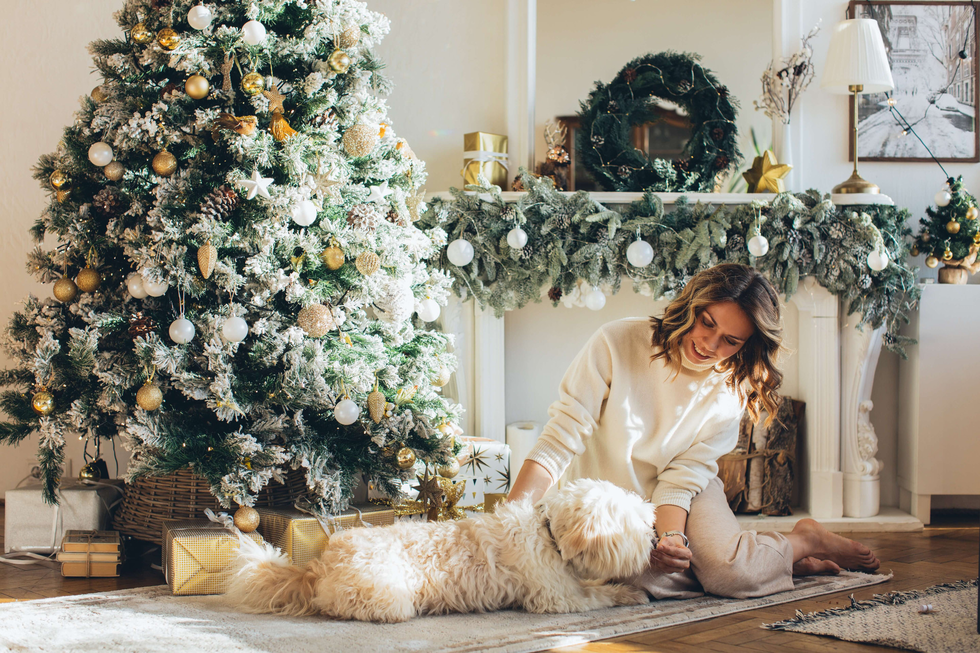 dicas para cuidar de cachorros no Ano Novo