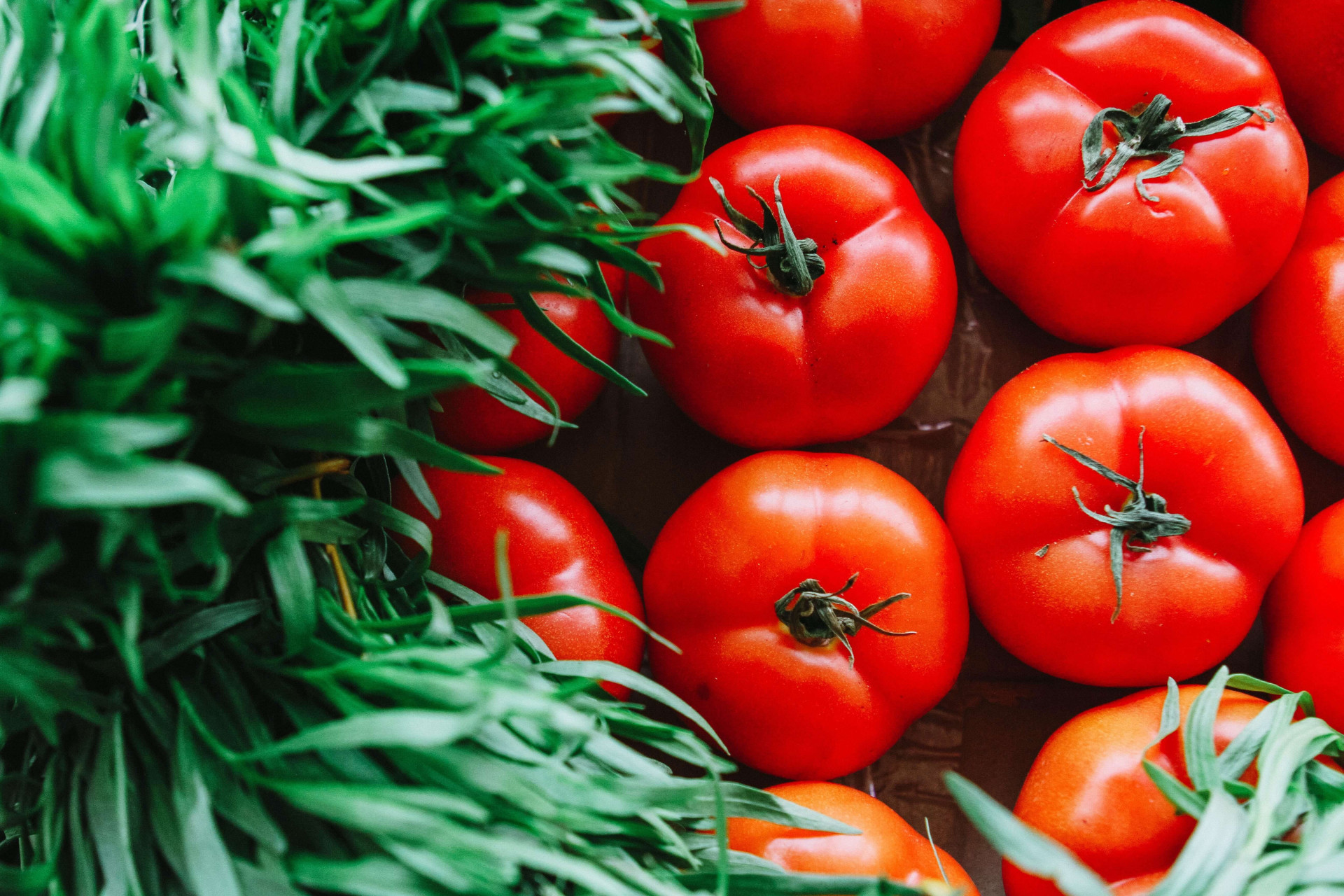 alimentos sujos