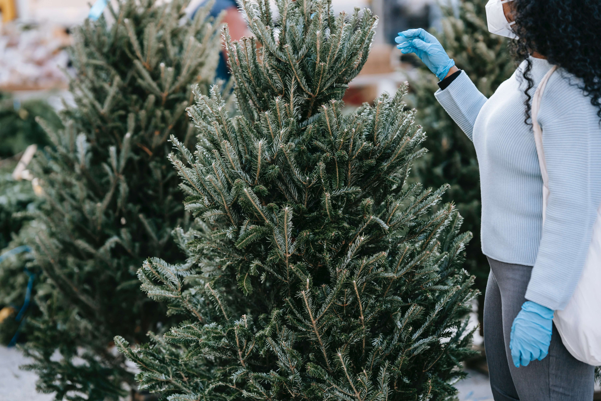 dicas para quem passará o Natal sozinho