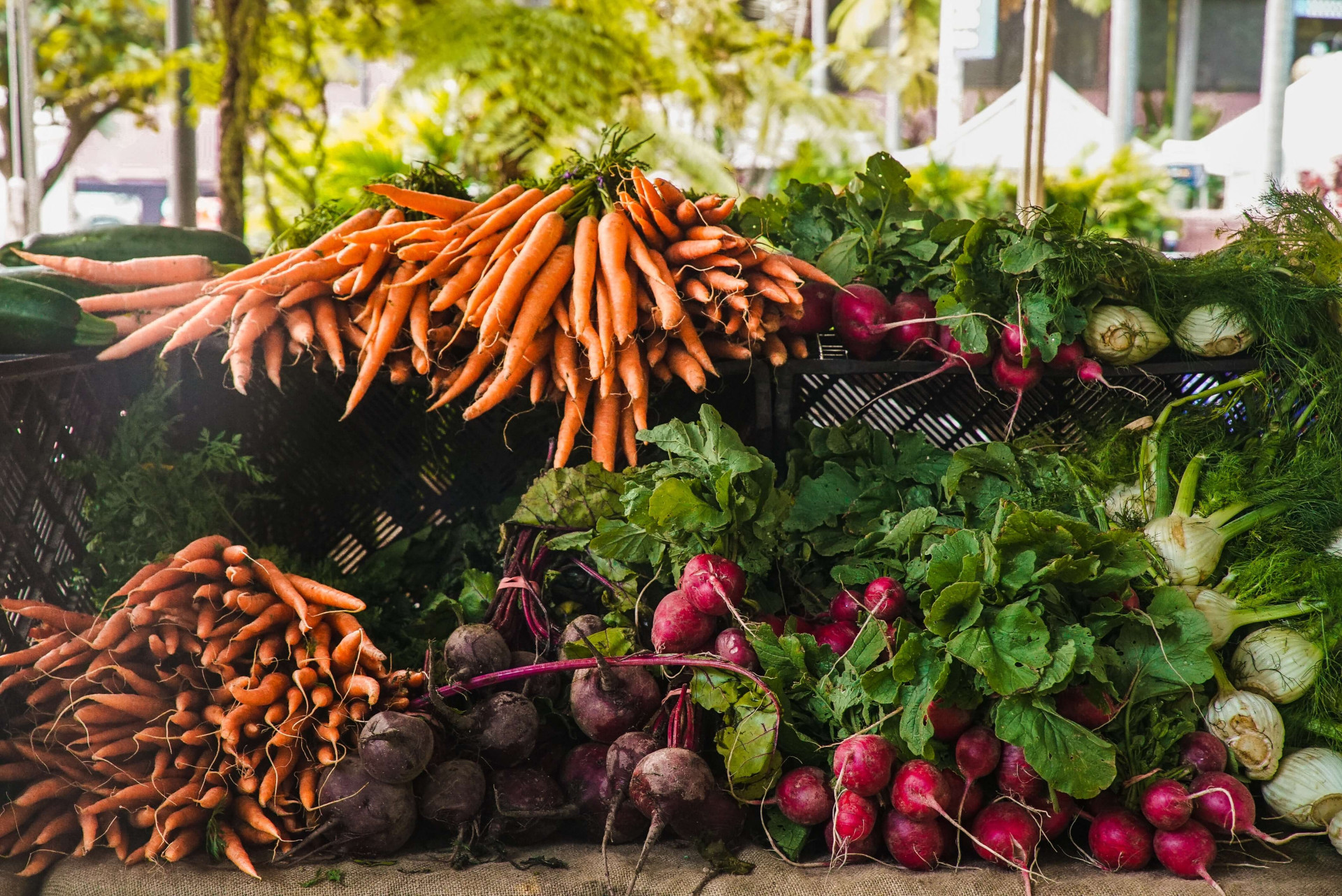 alimentos sujos