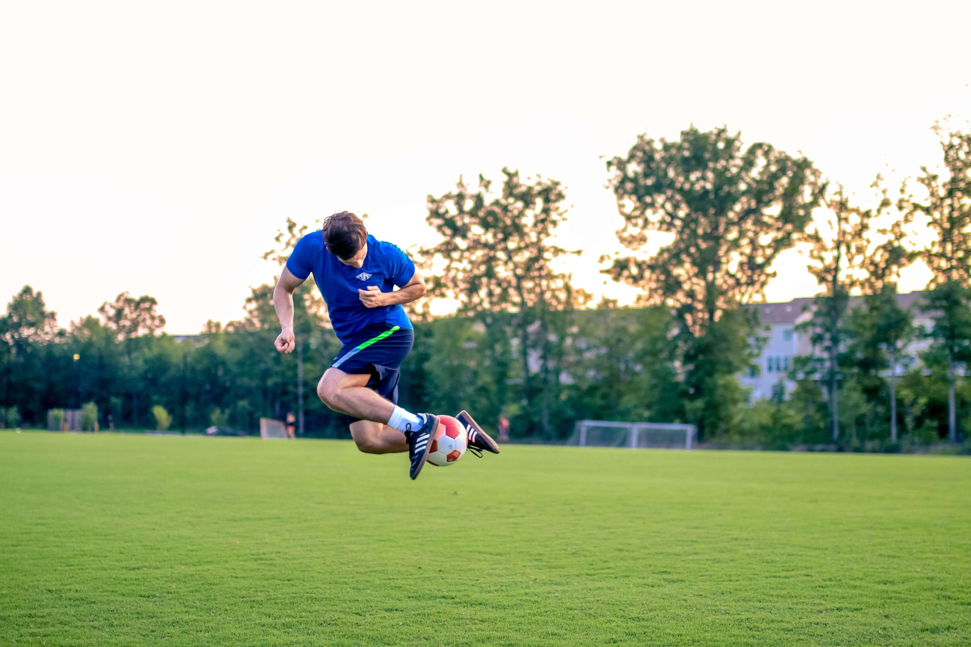 Os tipos de torcedores de acordo com seu signo: como você torce pelo Brasil na Copa? (Imagens: Unsplash)