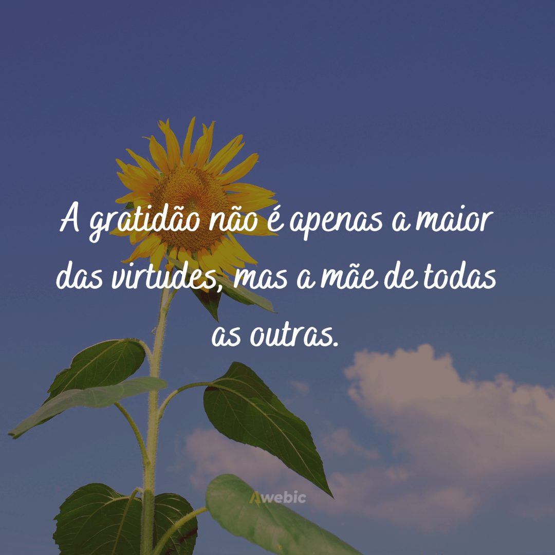 Frases de felicidade e gratidão