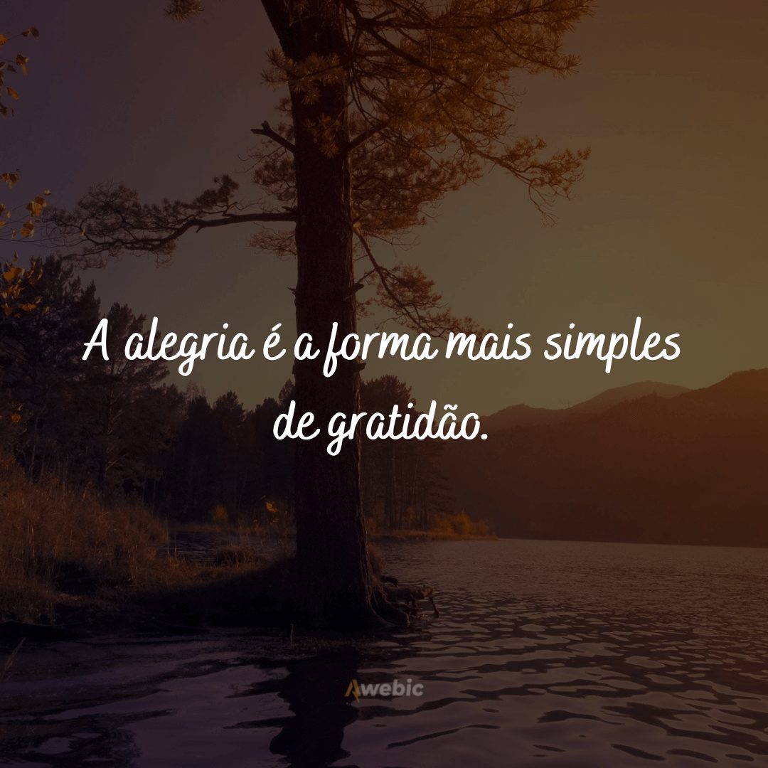 Frases de felicidade e gratidão