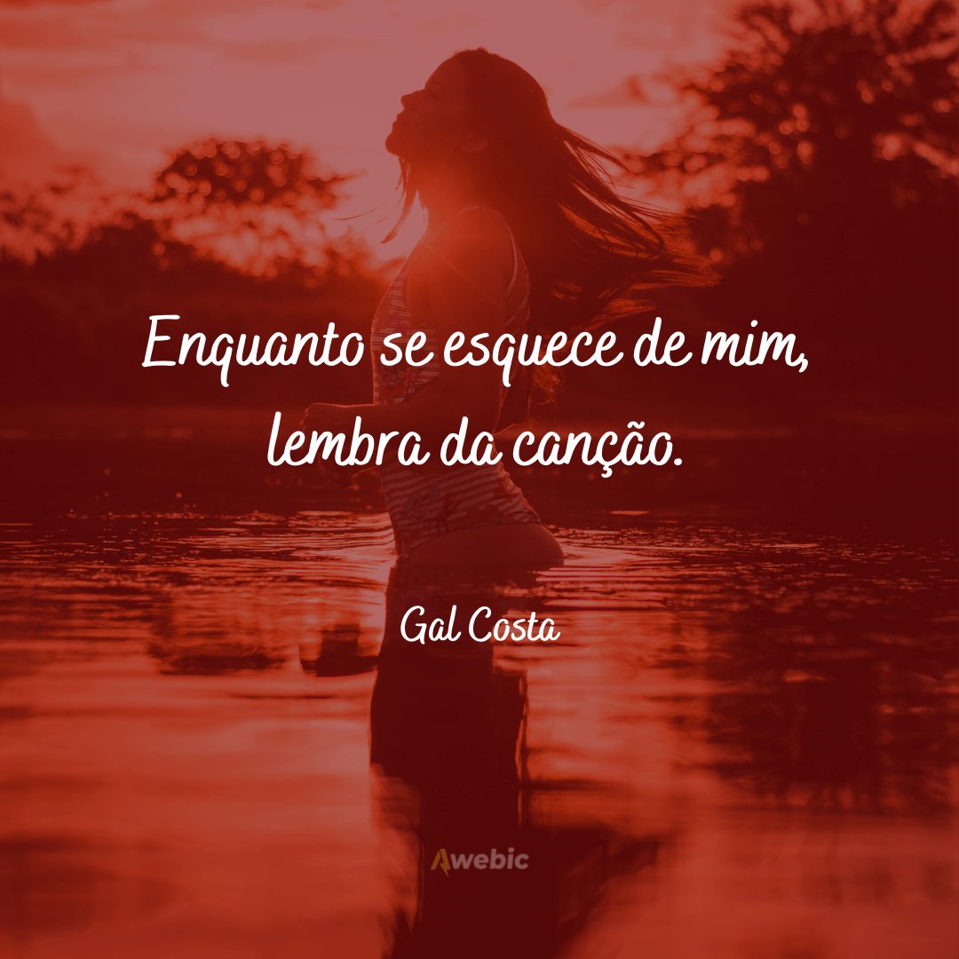 Frases de Gal Costa