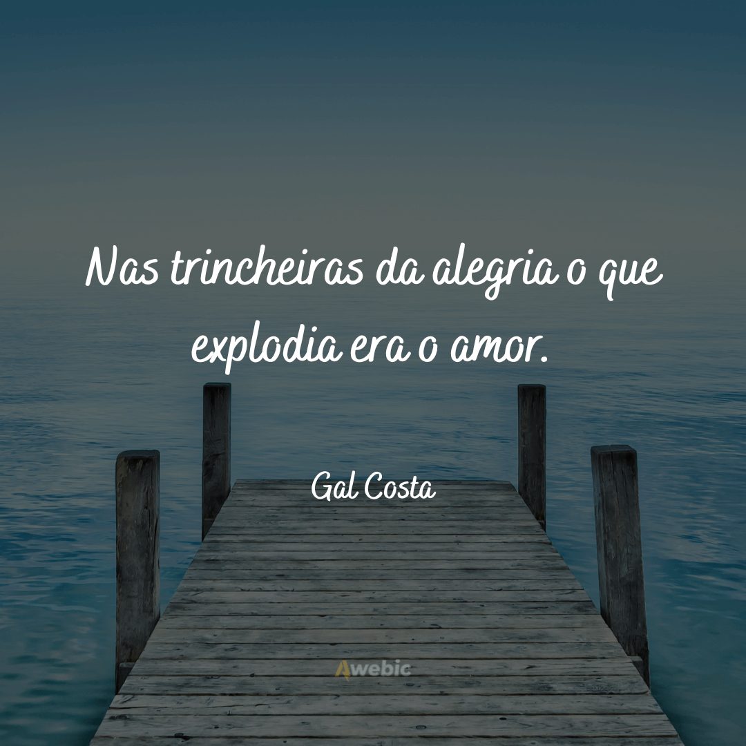 Frases de Gal Costa