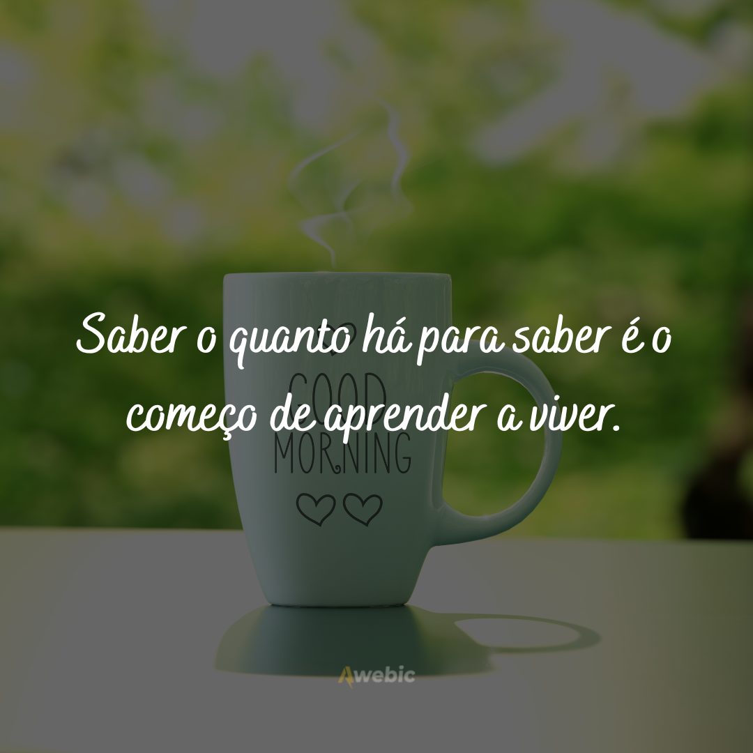 Frases de bom dia motivacional