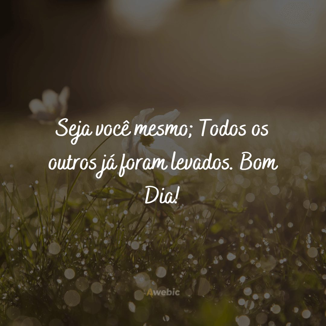 Frases de bom dia com reflexão