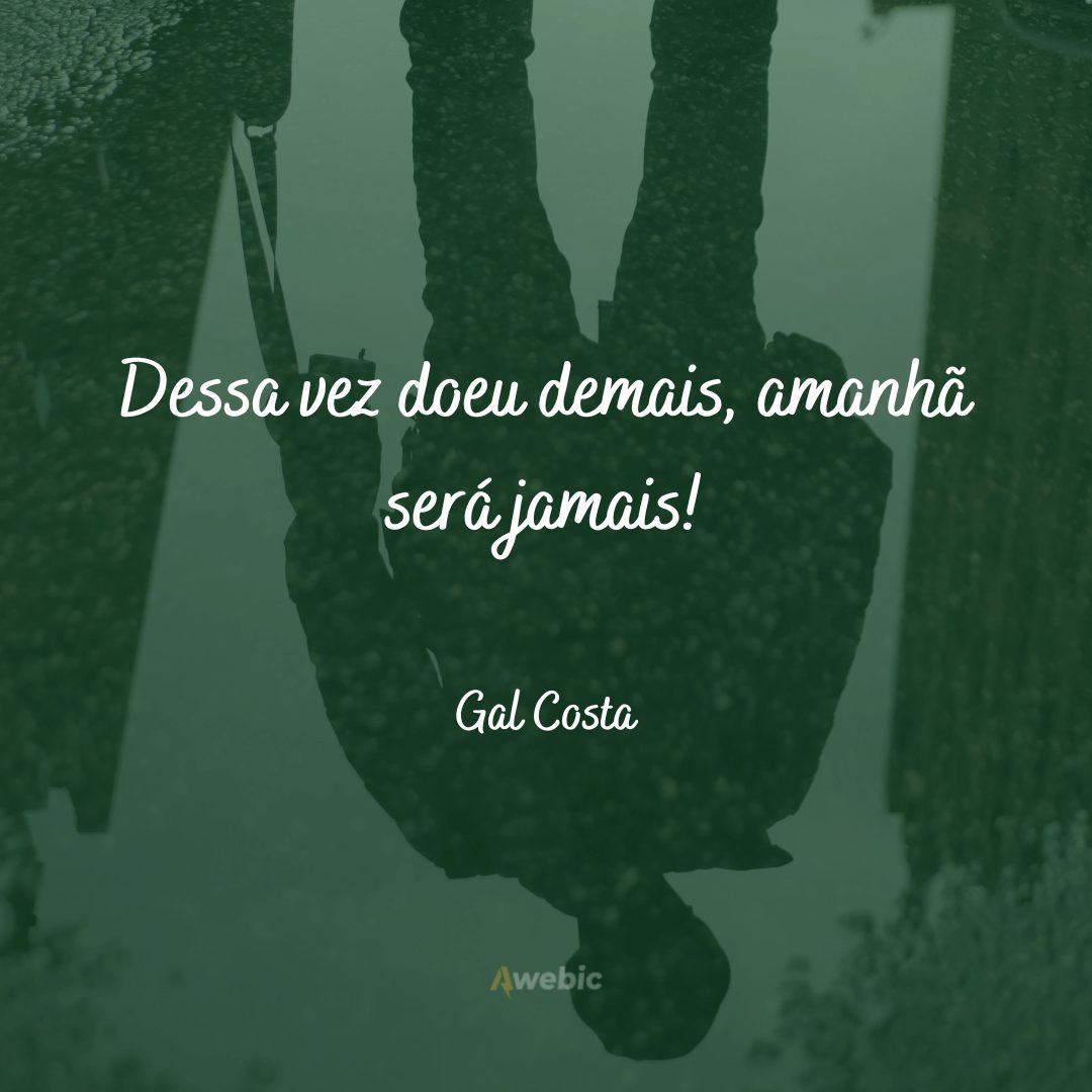 Frases de Gal Costa