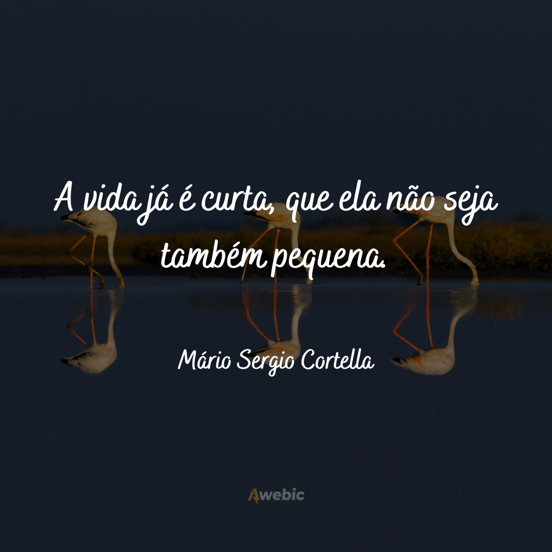 Frases do Mário Sergio Cortella