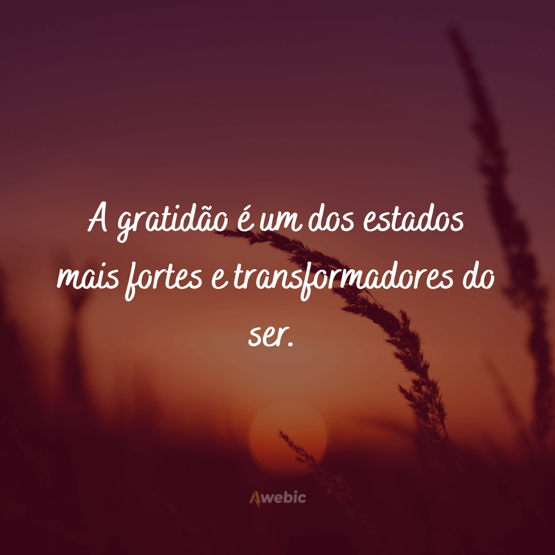 Frases de felicidade e gratidão