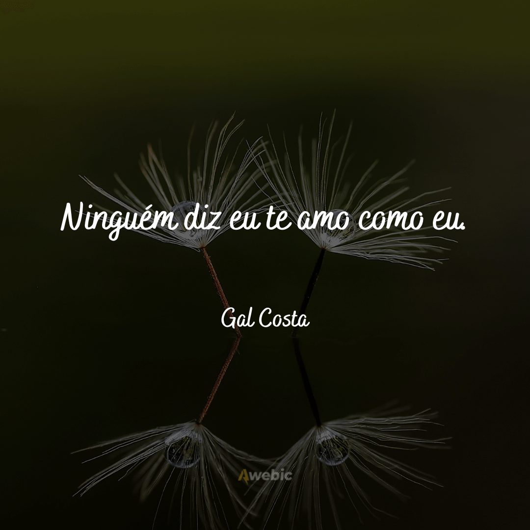 Frases de Gal Costa