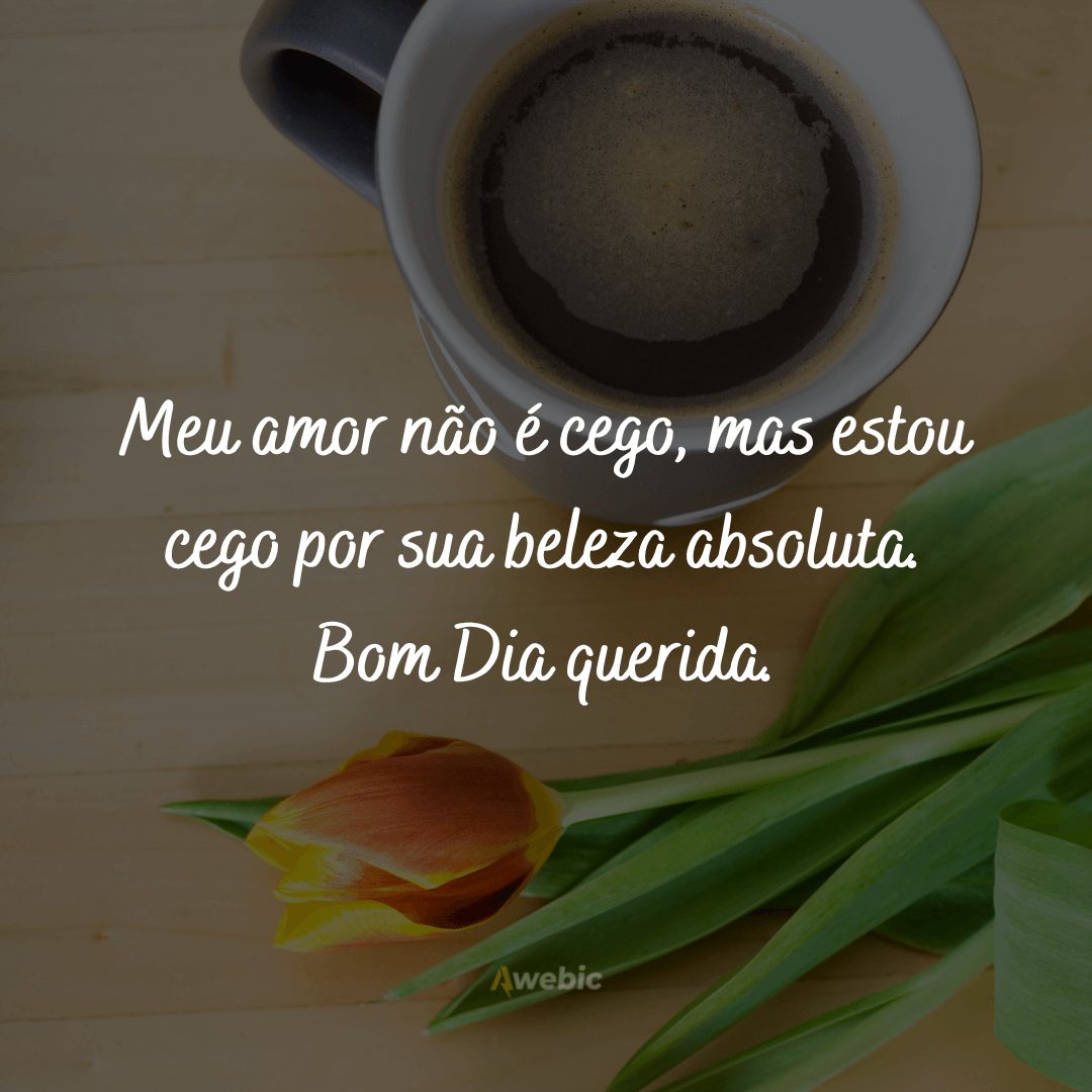 Frases de bom dia para esposa