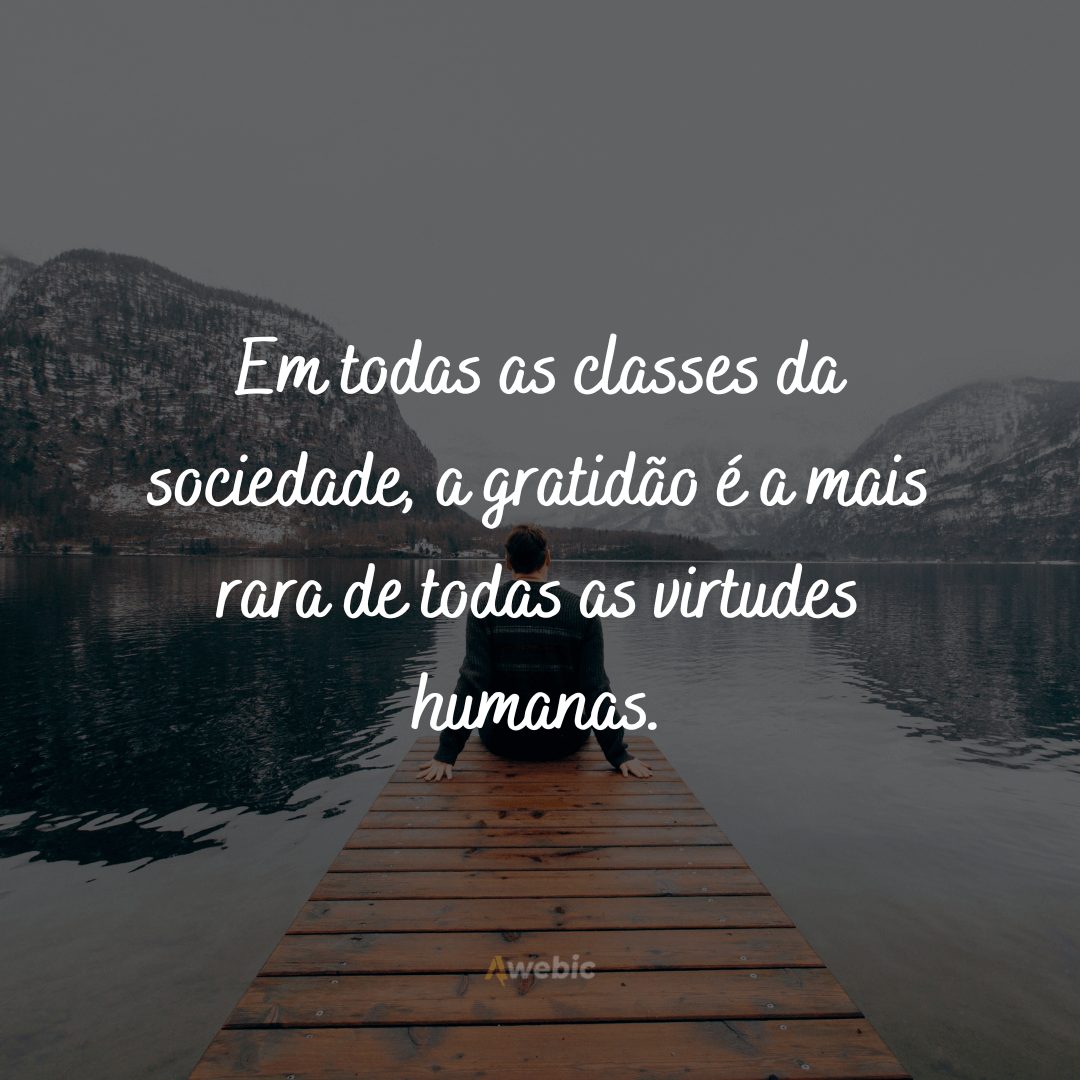 Frases de felicidade e gratidão