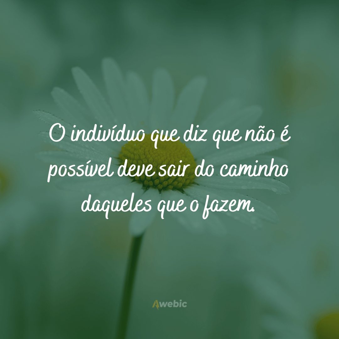 Frases de bom dia com reflexão