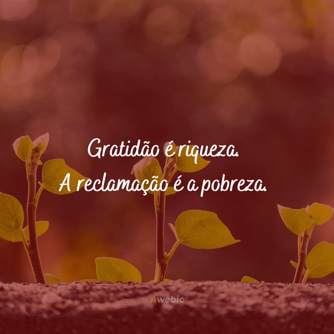 Frases de felicidade e gratidão