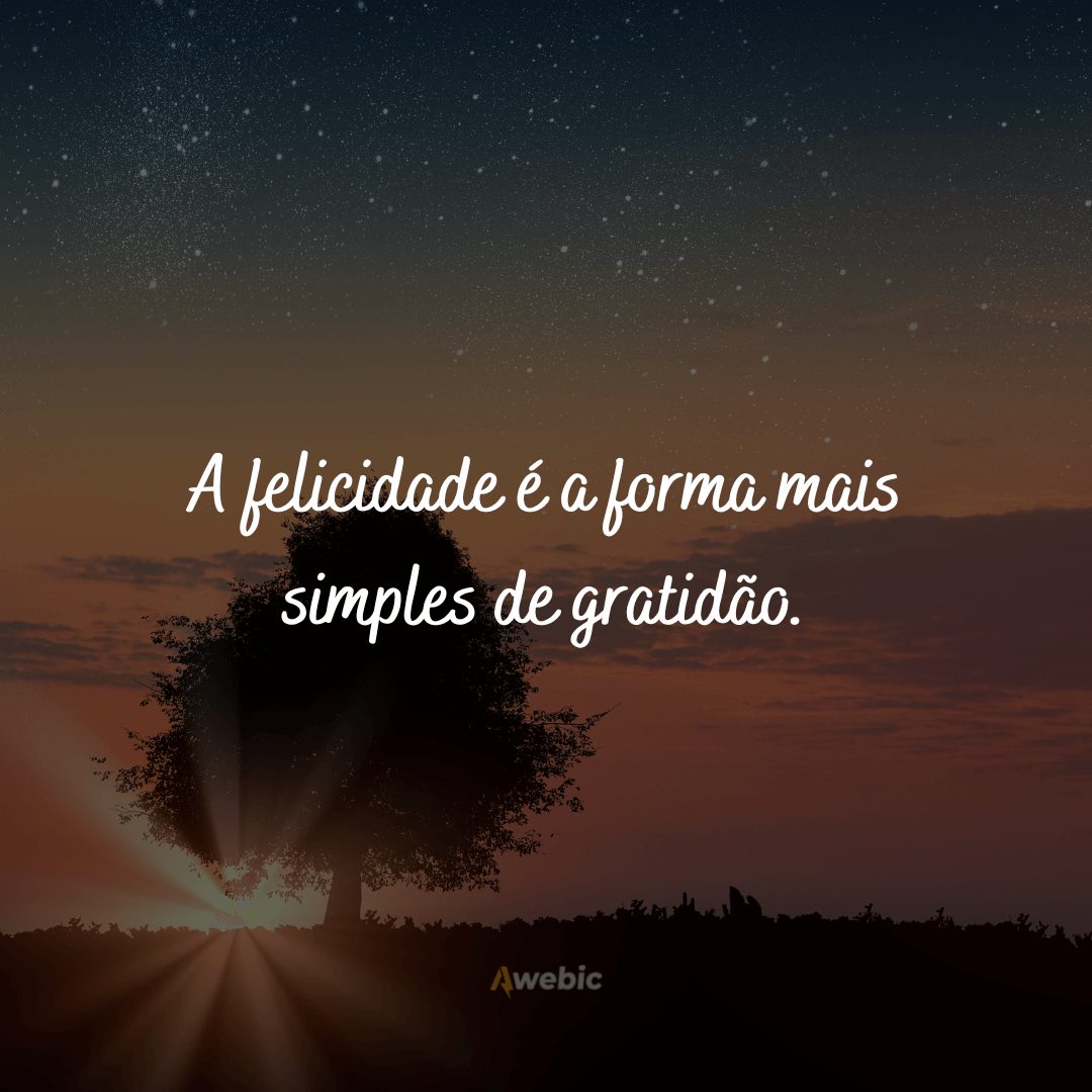 Frases de felicidade e gratidão