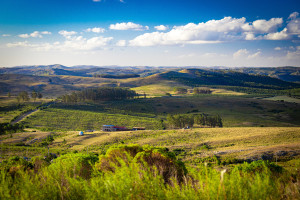 33 hotéis fazenda em Minas Gerais que são cheios de tranquilidade e beleza