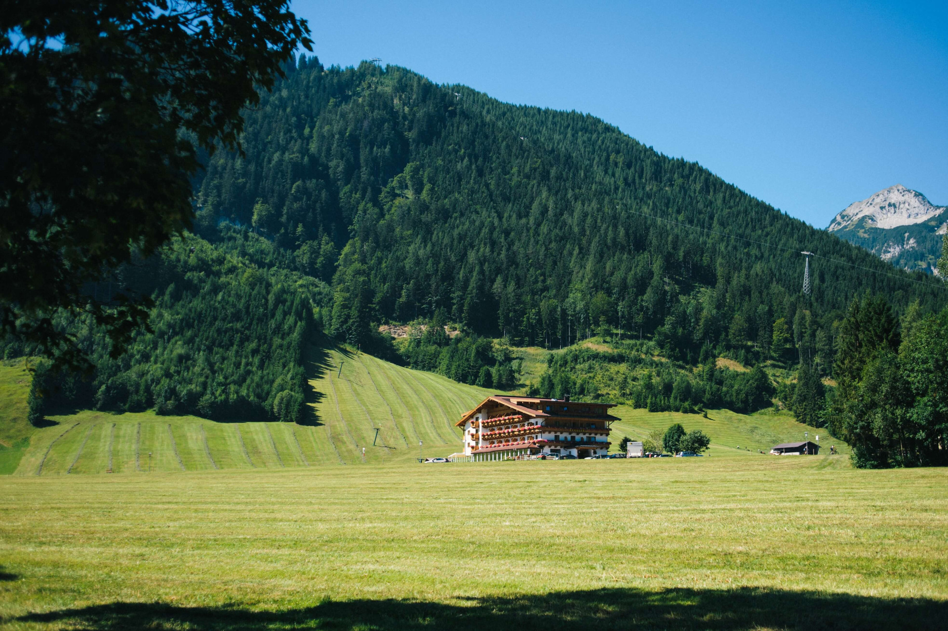 9 motivos para escolher se hospedar em um hotel fazenda com a família (Imagens: Unsplash)