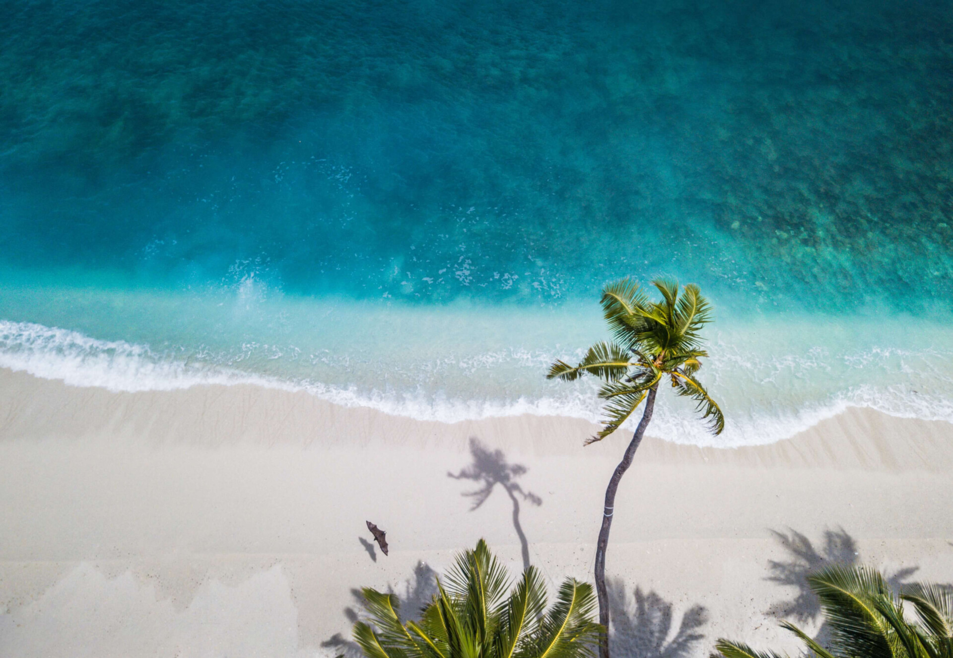 14 destinos brasileiros para viajar no verão e aproveitar o solzão maravilhoso (Imagens: Unsplash)