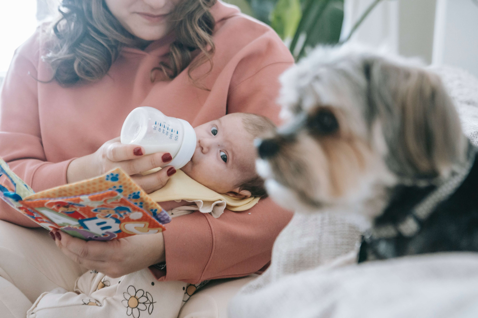 Afinal, faz mal OU NÃO ter cachorros perto do bebê? Todos os pais precisam ler esse texto