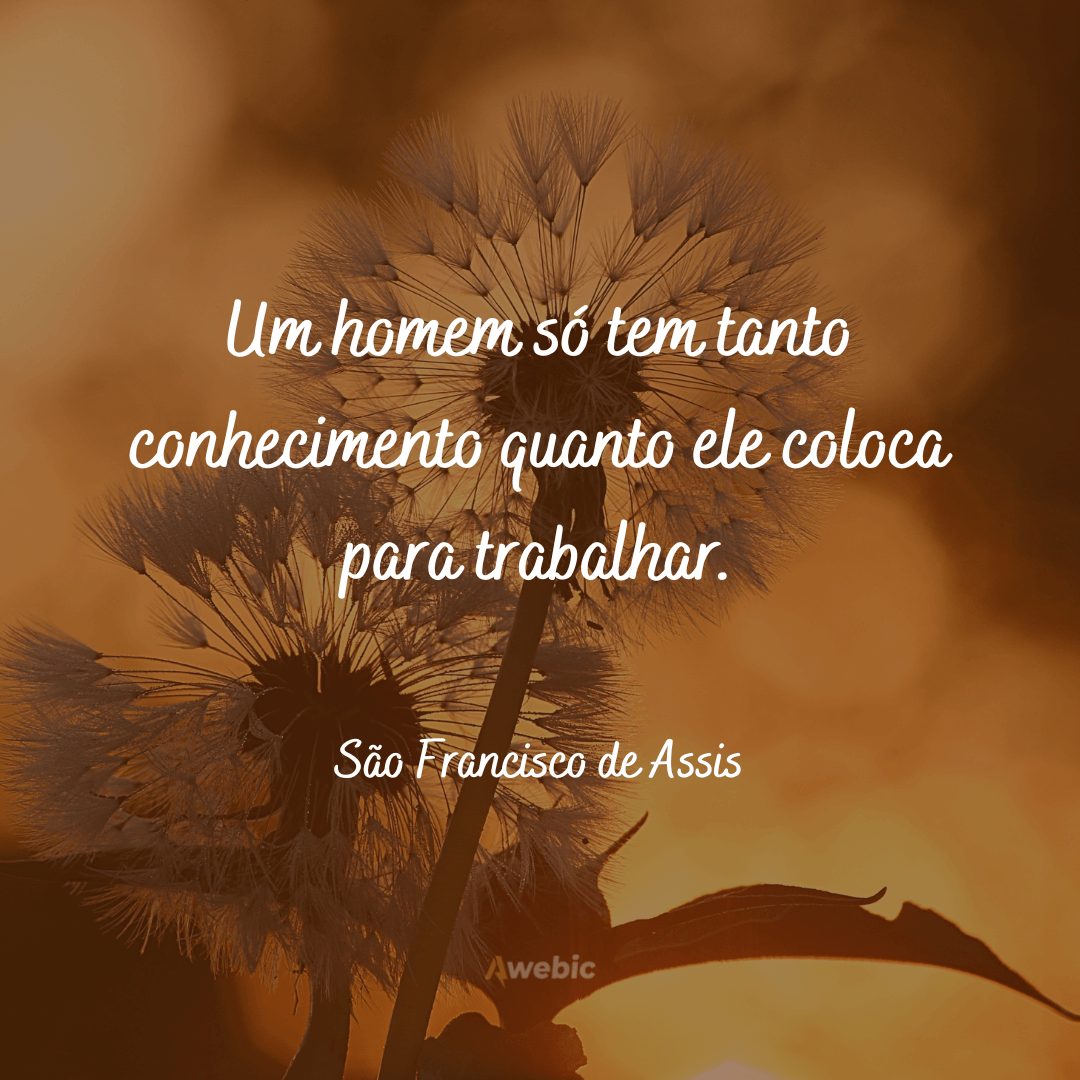 Frases de São Francisco de Assis