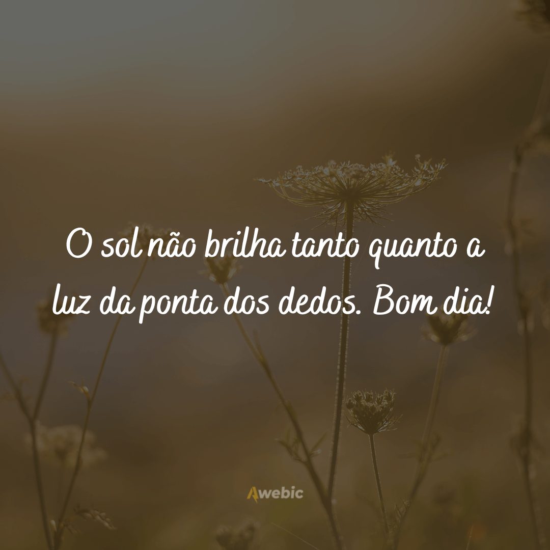 Poemas de bom dia para compartilhar