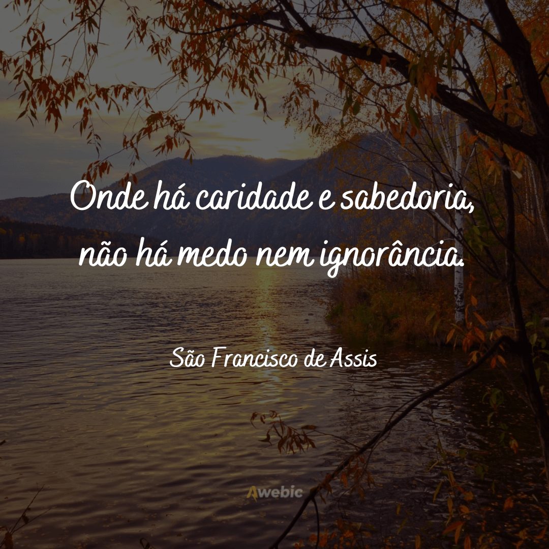 Frases de São Francisco de Assis