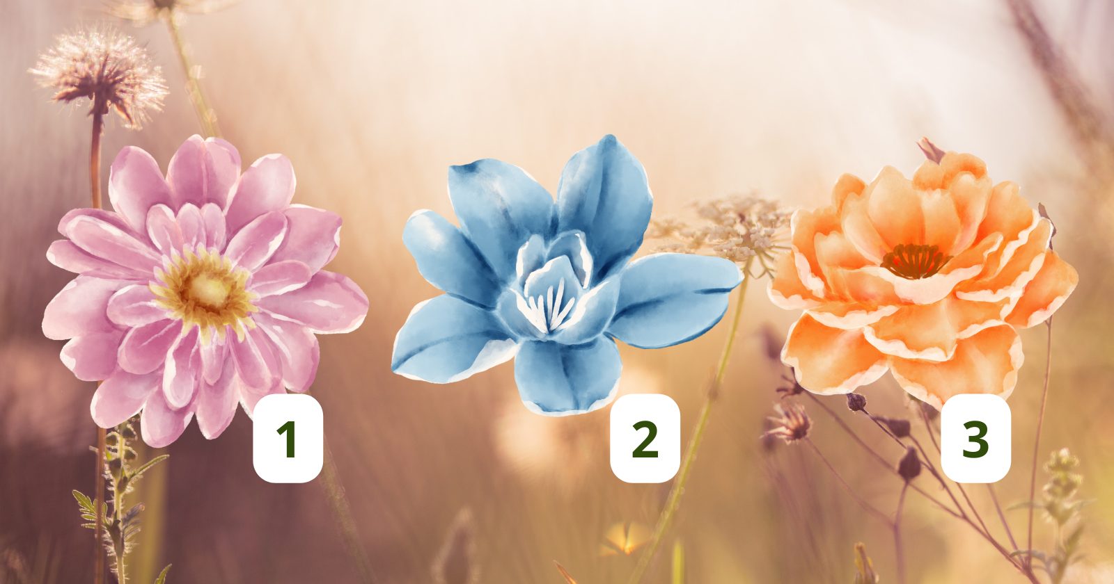 INTUIÇÃO: Descubra qual dessas flores tem uma mensagem para você (Imagens: Unsplash)