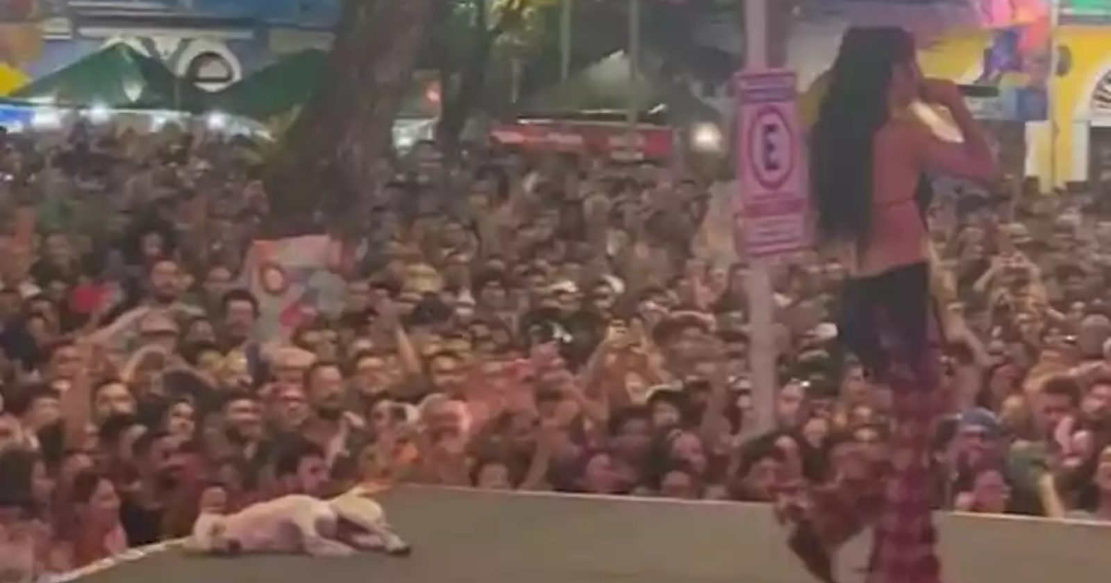 Cachorro dorme pleníssimo no palco de show de Marina Sena e viraliza