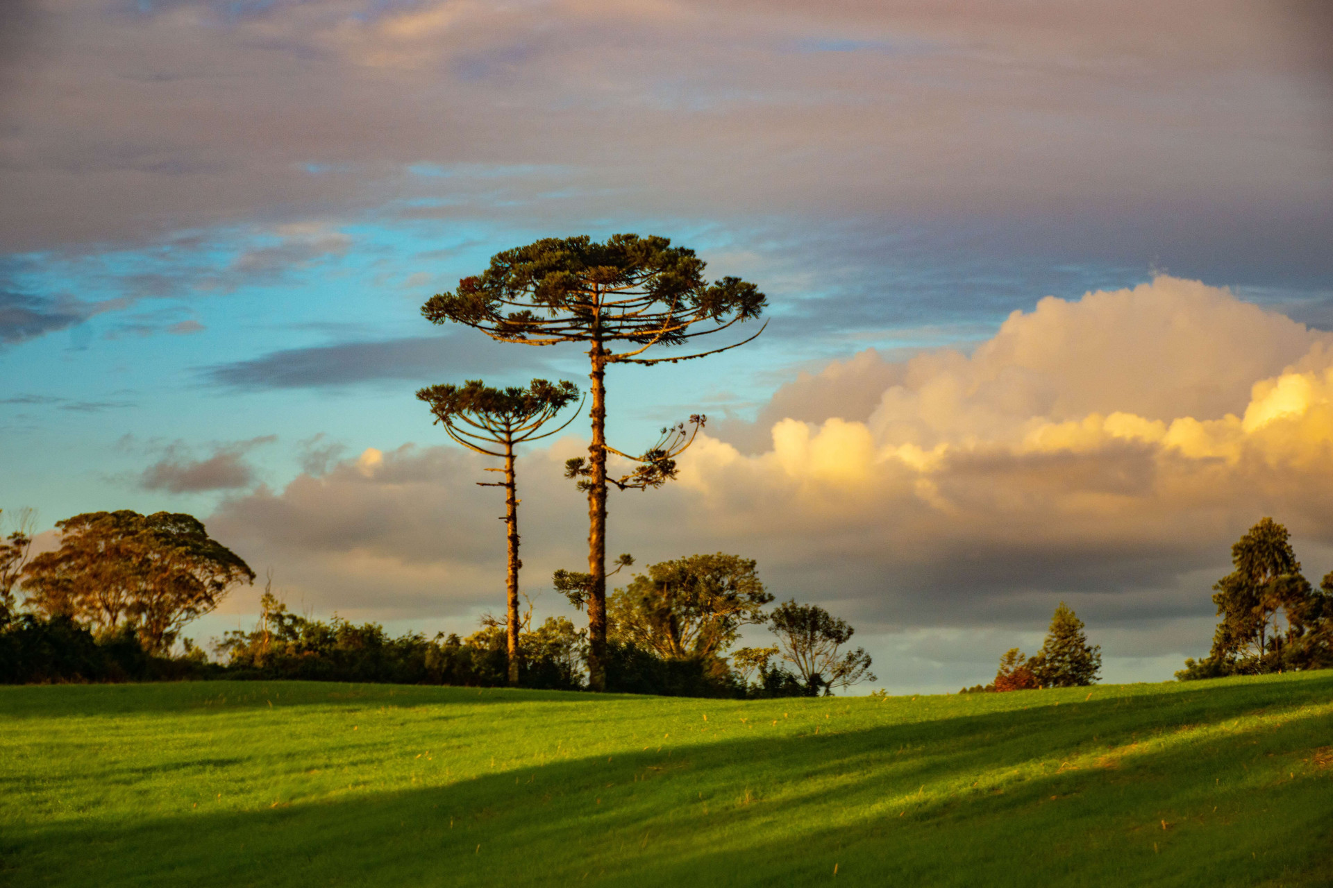 PARA CASAIS: quanto custa viajar para Gramado em 2023 e ainda sair economizando (Imagens: Unsplash)