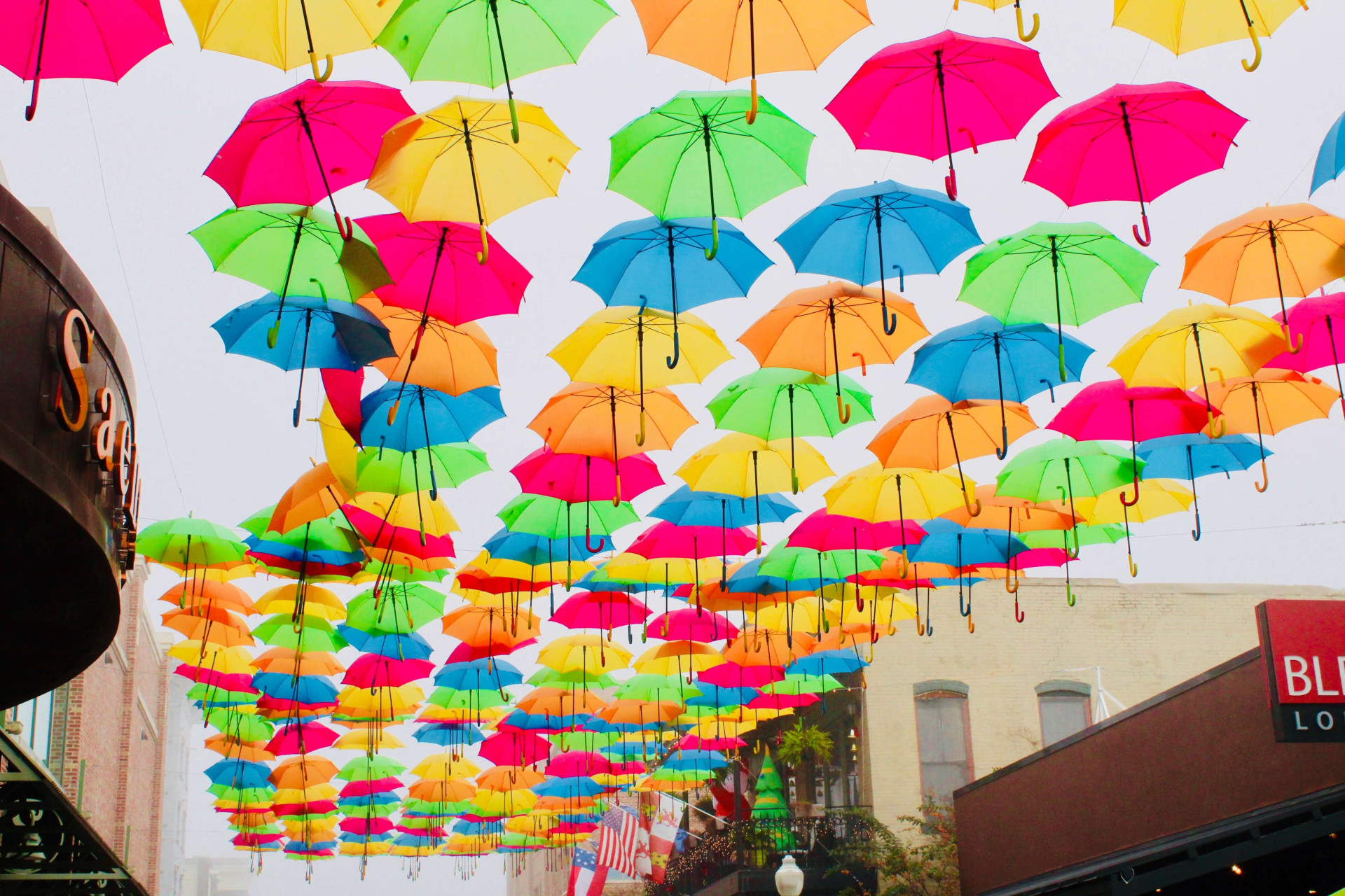 carnaval de Olinda