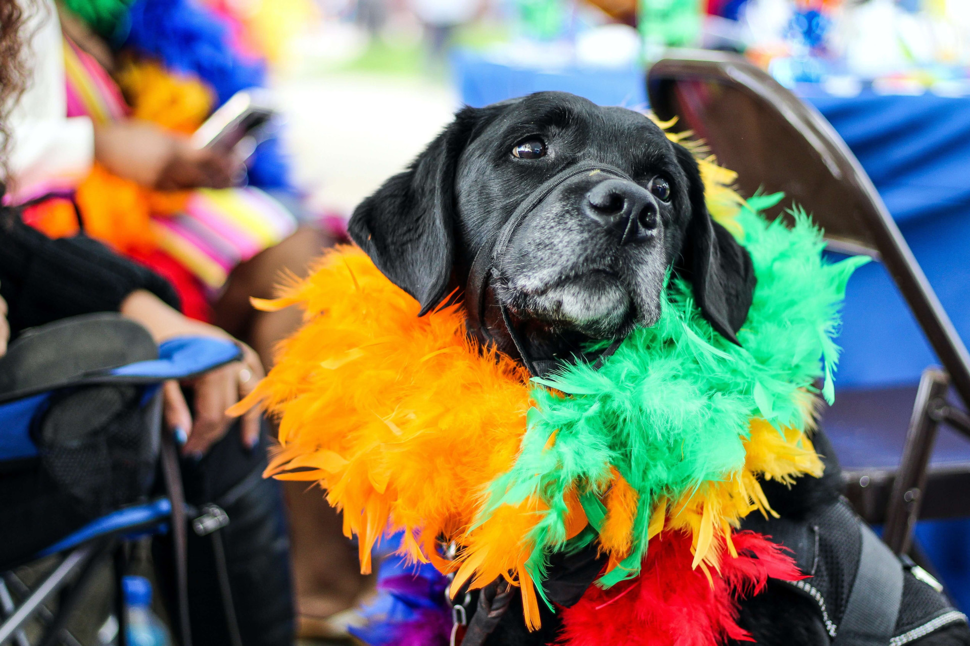 símbolos do Carnaval