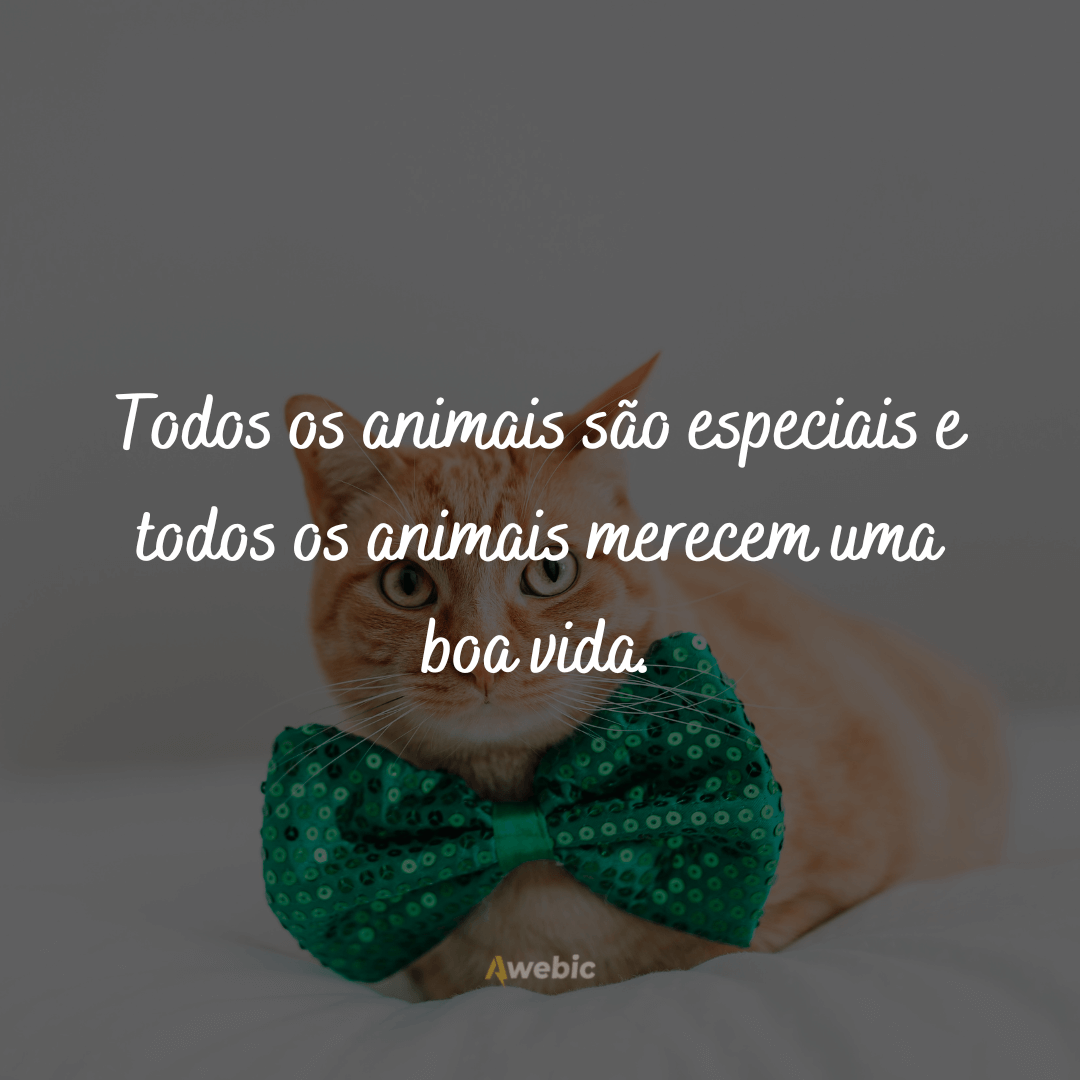 Frases para o Dia Nacional dos Animais