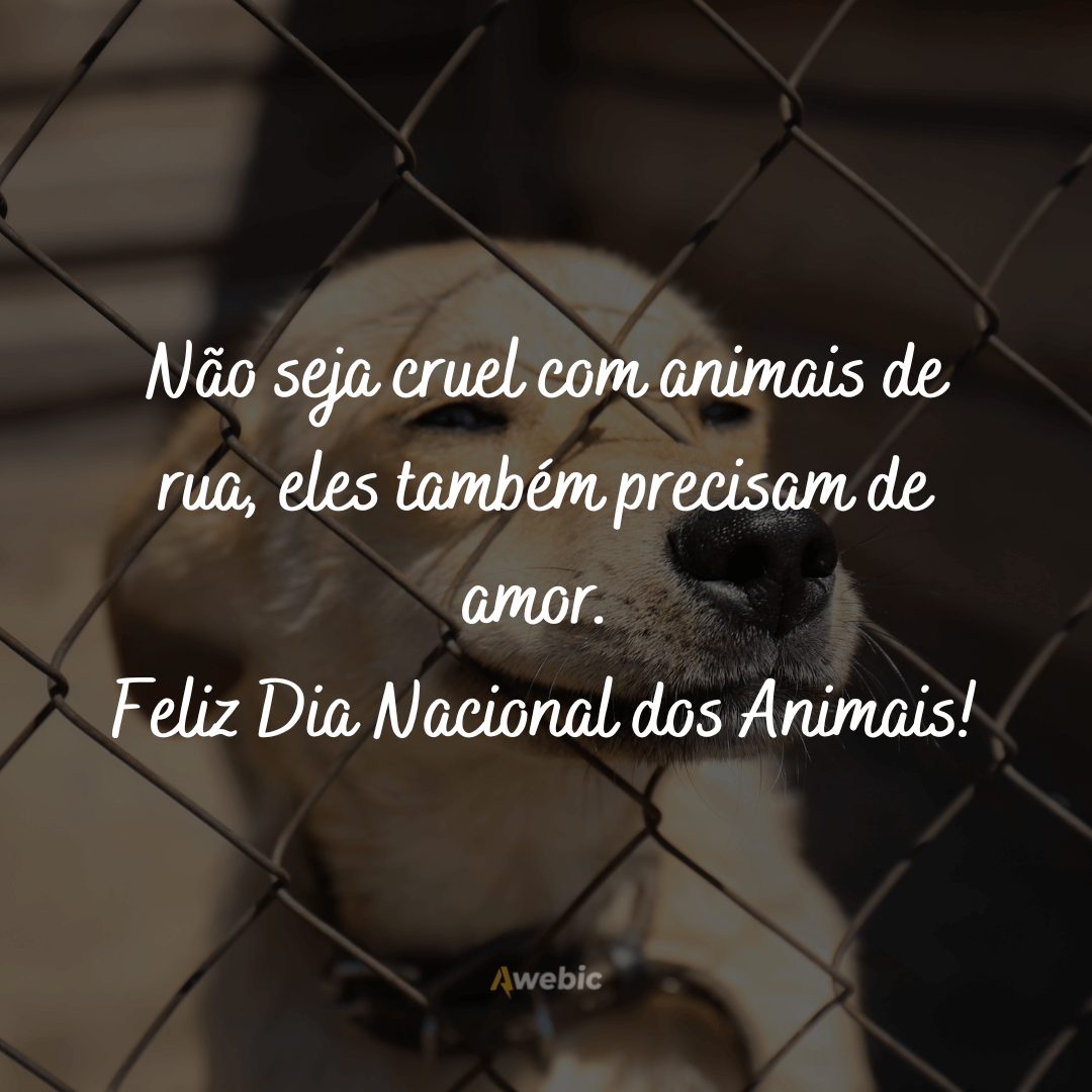 Frases para o Dia Nacional dos Animais