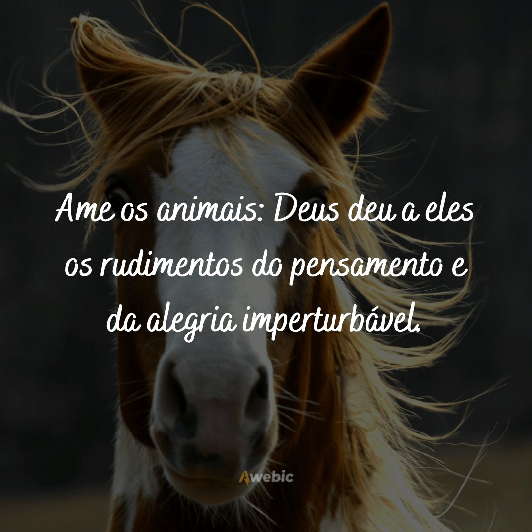 Frases para o Dia Nacional dos Animais