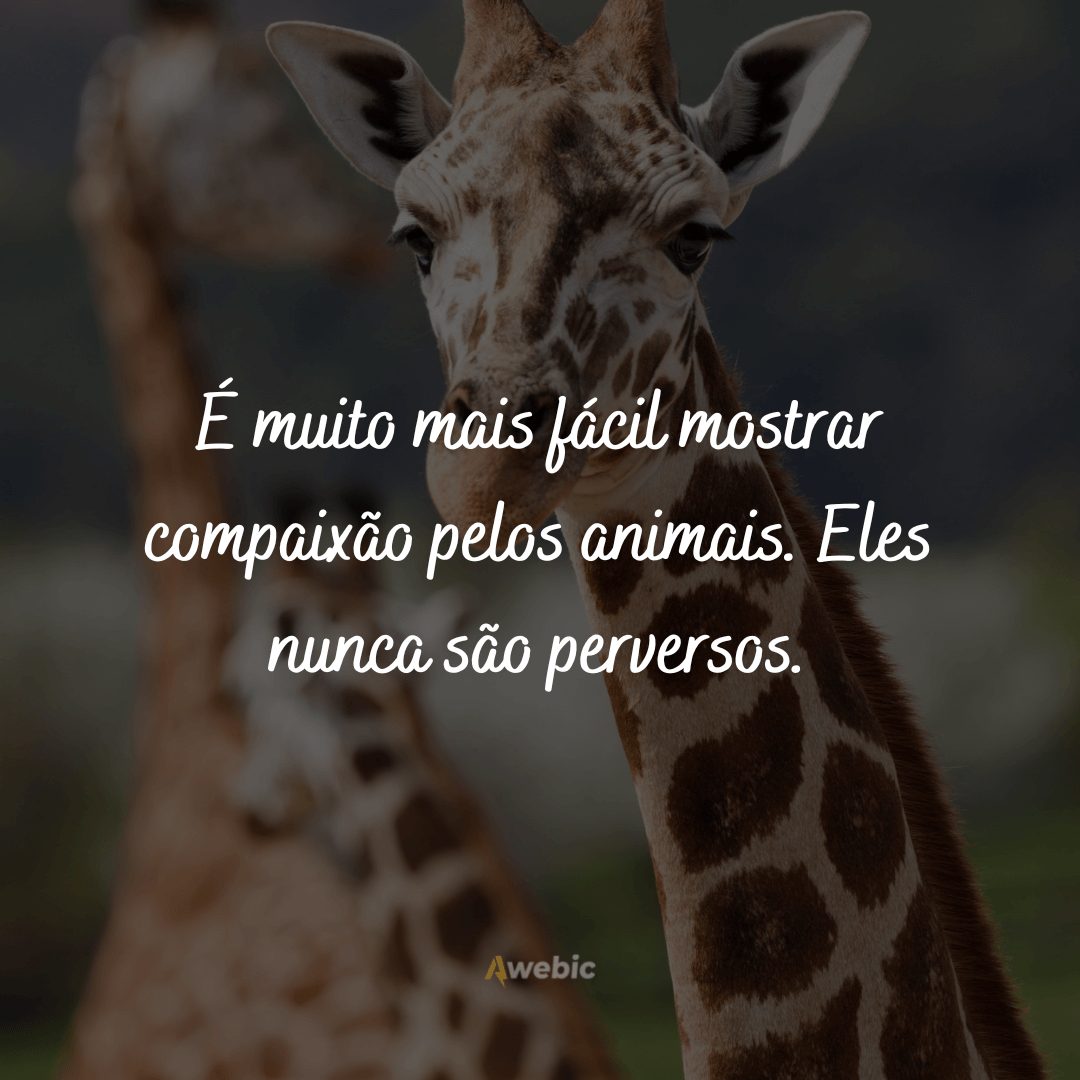 Frases para o Dia Nacional dos Animais