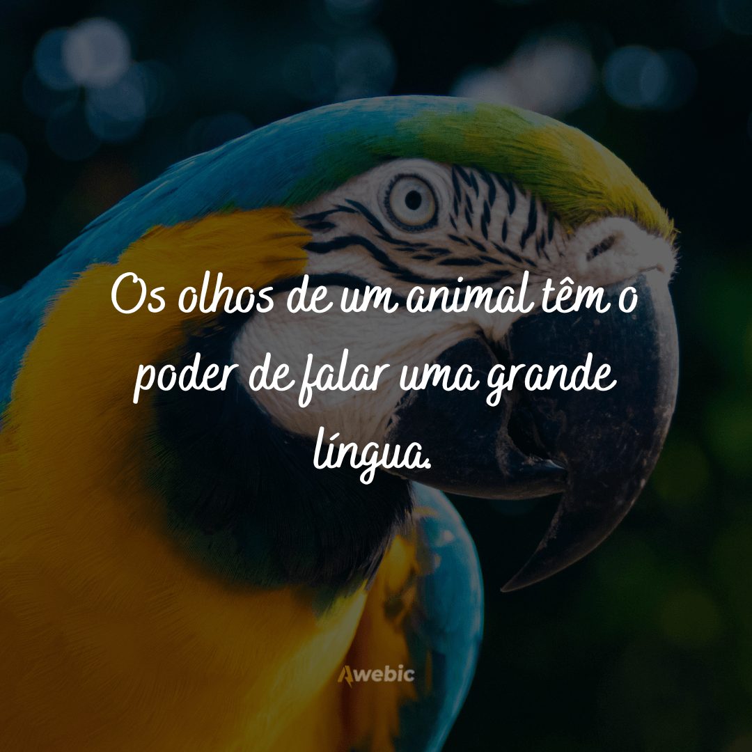 Frases para o Dia Nacional dos Animais