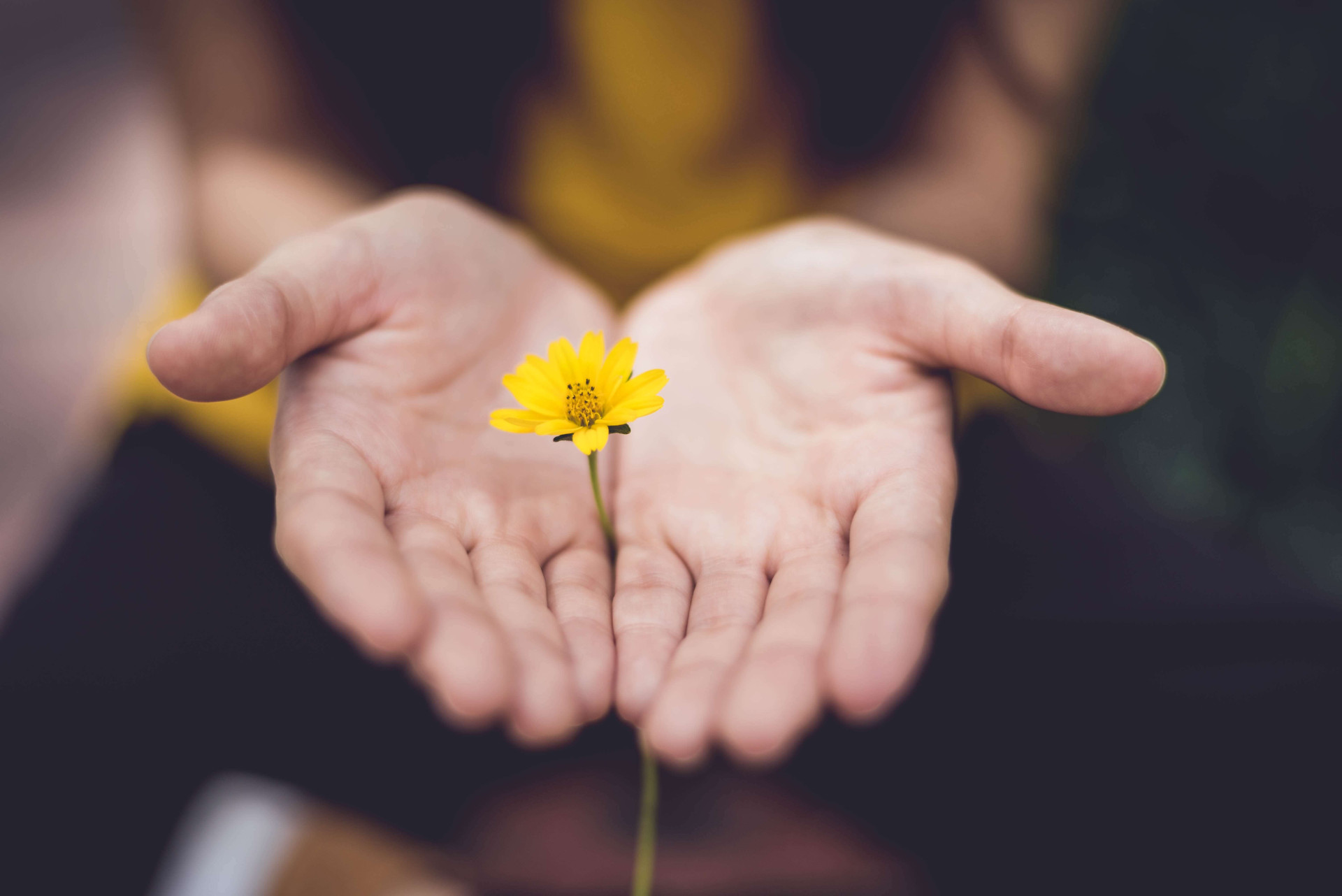 Significado espiritual de mãos coçando vai levantar ALERTA importante sobre sua vida (CUIDADO!) (Imagens: Unsplash)