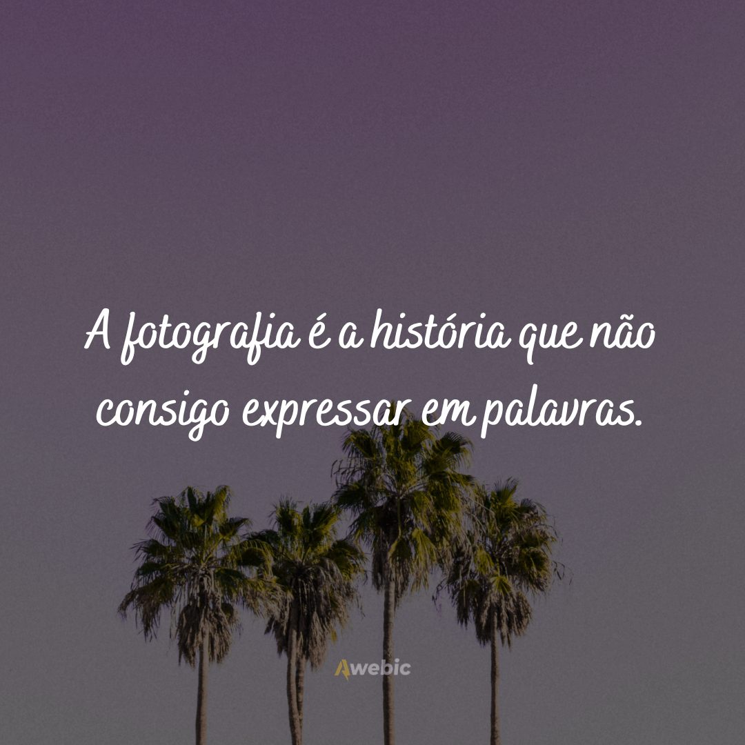 Comentários para fotos 