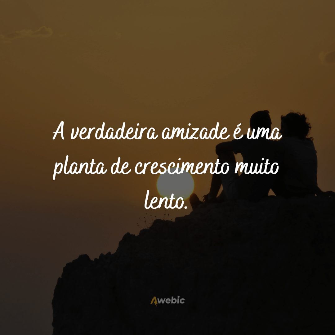 Frases de amizade verdadeira