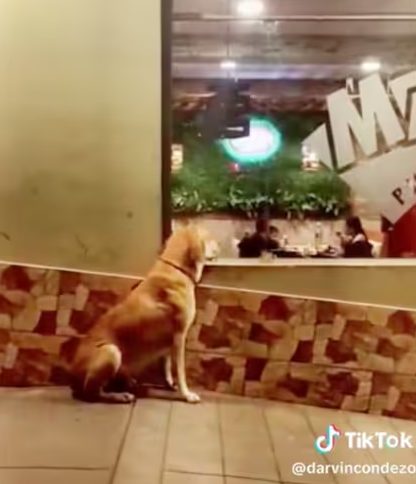 Policial faz a felicidade de um cachorrinho comprando pedaço de frango para o animal