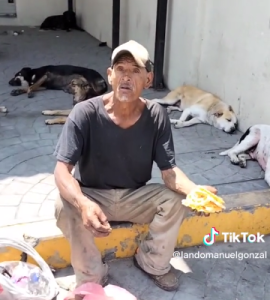 Idoso em situação de rua presta assistência a mais de 60 cães abandonados, veja o vídeo