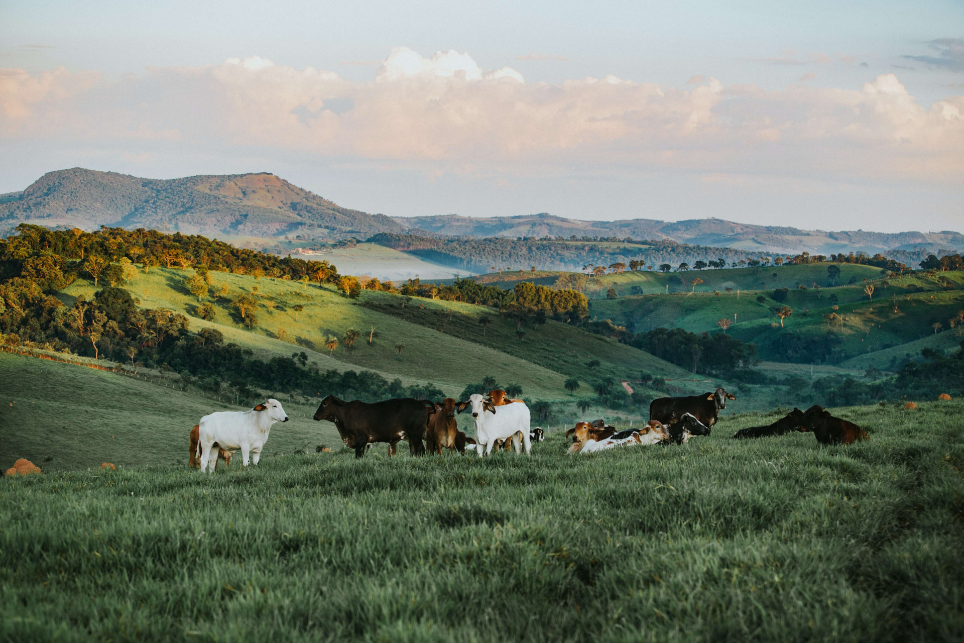 13 serras brasileiras que merecem ser visitadas: só as mais bonitas e aventureiras (Imagens: Unsplash)